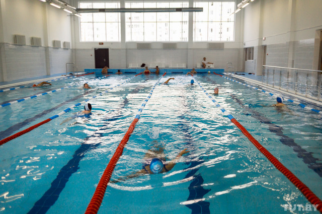 Криворожские пловцы вынуждены заниматься в бассейне, покрытом плесенью, - петиция