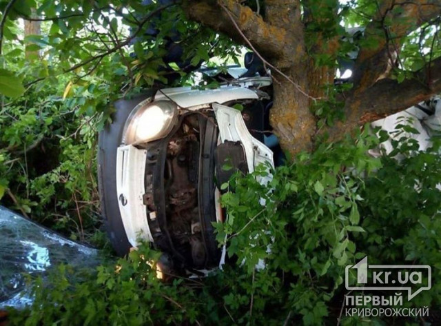 Пятеро криворожан погибли во время ДТП в Николаевской области
