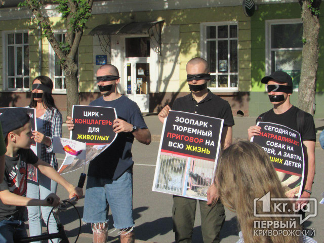 Криворожские зоозащитники вышли на акцию протеста
