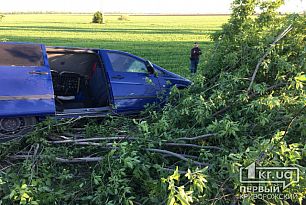 Перевернулась маршрутка с пассажирами, следующая из Одессы в Кривой Рог