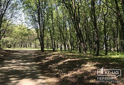 Фото к новости Главное фото новости