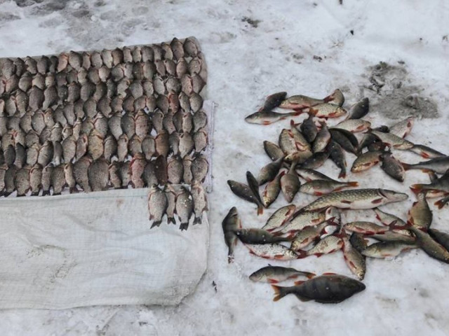 Ловилась рыбка большая и маленькая: в Днепропетровской области задержали браконьеров