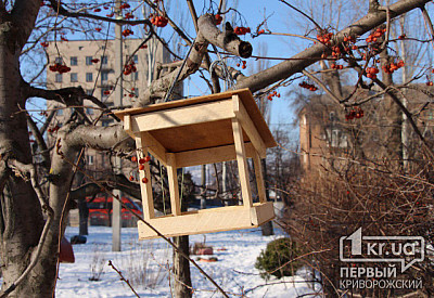 Фото к новости Главное фото новости