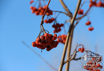 Фото к новости Главное фото новости