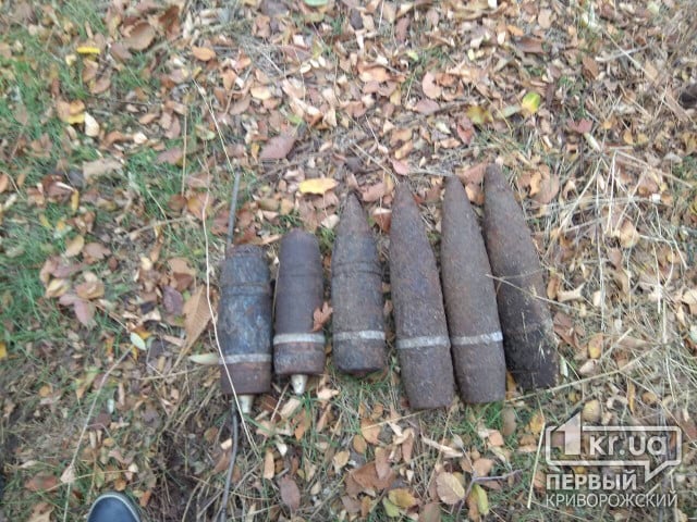 Криворожские спасатели обезвредили боеприпасы, найденные в лесополосе