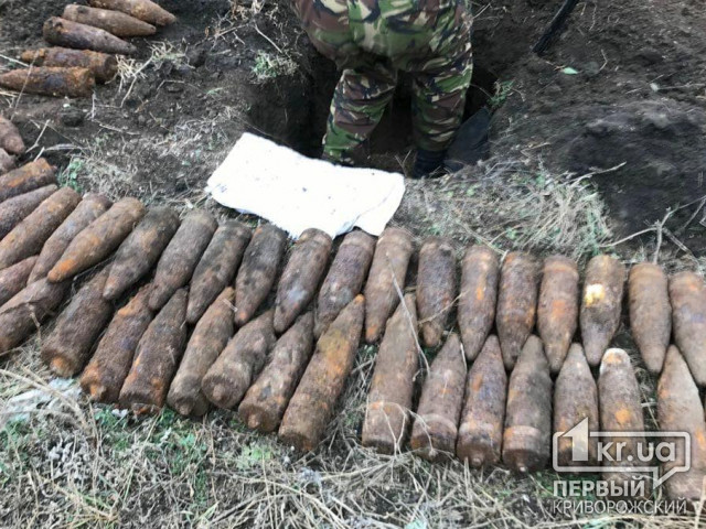 Недалеко от Кривого Рога обнаружили более 100 взрывоопасных снарядов