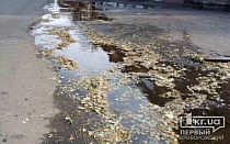 Фото новости