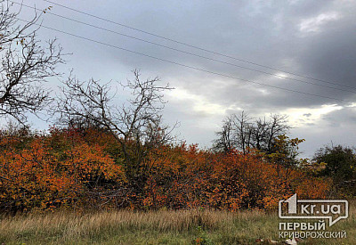 Фото к новости Главное фото новости