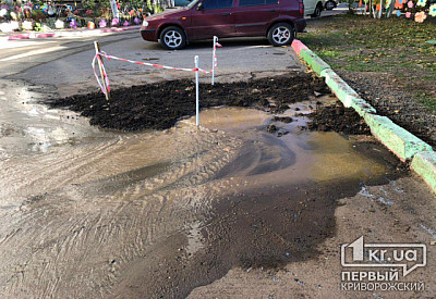 Фото к новости Главное фото новости