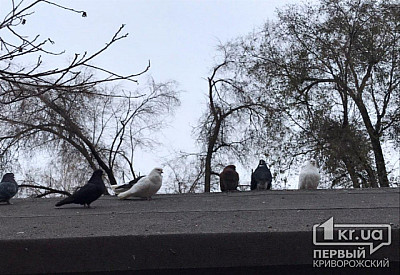 Фото к новости Главное фото новости