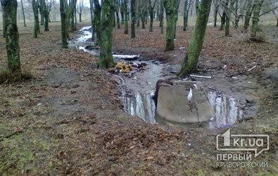 «Свидетели событий»: Отдых в Терновском районе - ароматы канализации и опасные столбы