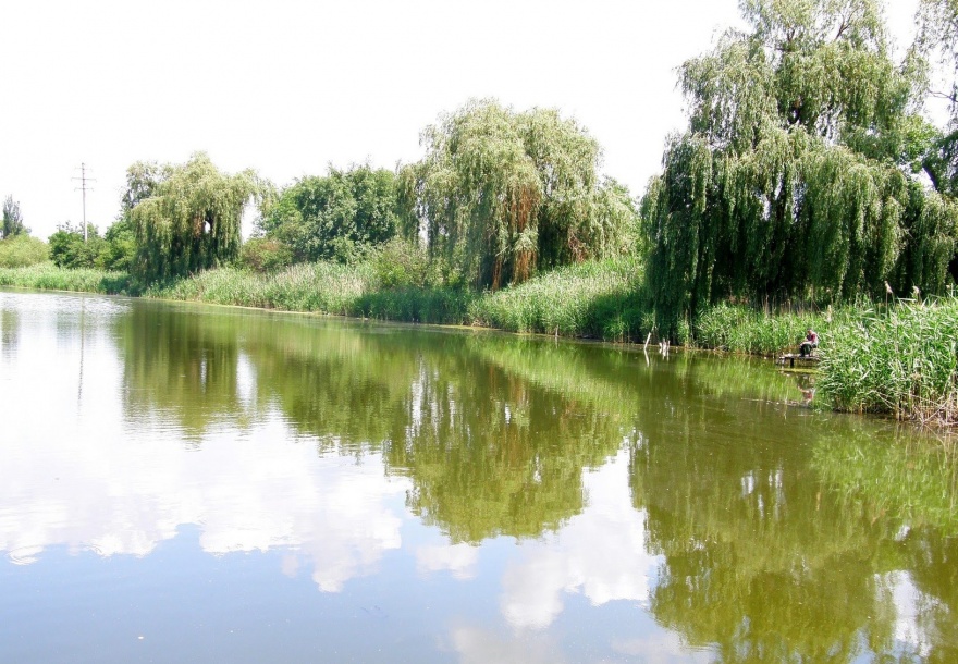 В Кривом Роге в реке Саксагань найден пакет с расчлененным трупом