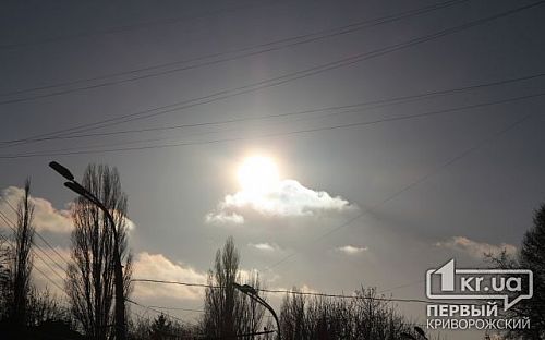 Главное фото новости