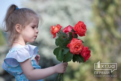 Криворожане принесли цветы к мемориальным доскам десантников погибших в ИЛ-76