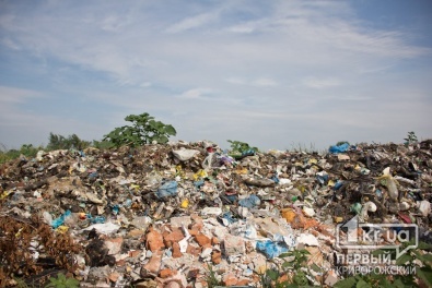 Криворожский район: Десятки тонн гниющего мусора наносят существенный урон экологии