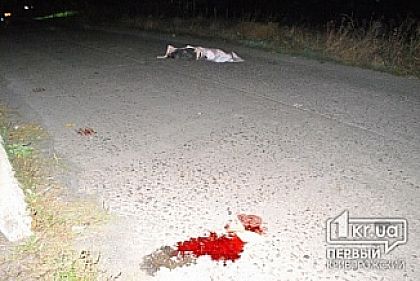 В Кривом Роге началось затягивание дела по факту ДТП с двумя погибшими?