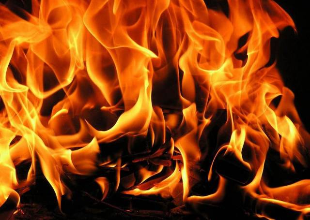 В Кривом Роге горел дом: Пожарные спасли 6 человек