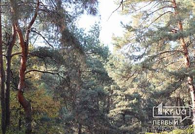 Фото к новости Главное фото новости