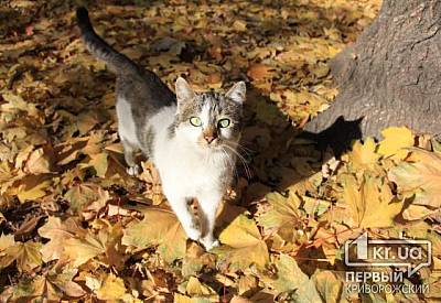 Фото к новости Главное фото новости