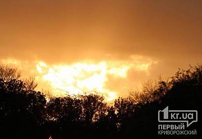 Фото к новости Главное фото новости