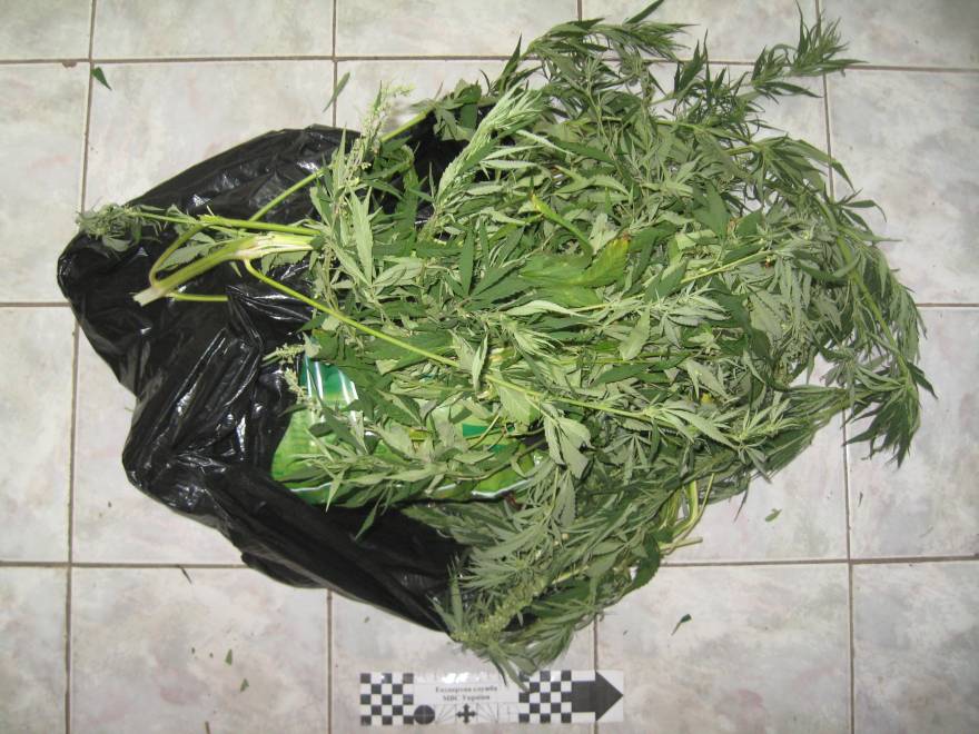 Криворожские милиционеры изъяли наркотик на 400 тыс. гривен