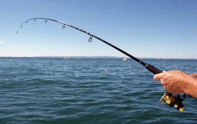 До уваги рибалок! З квітня по червень ловля риби дозволена лише у спеціально відведених місцях