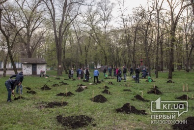 В Кривом Роге стартовала всеукраинская акция «Дерево - душа героя!»