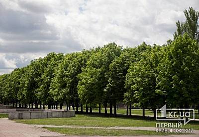 Фото к новости Главное фото новости