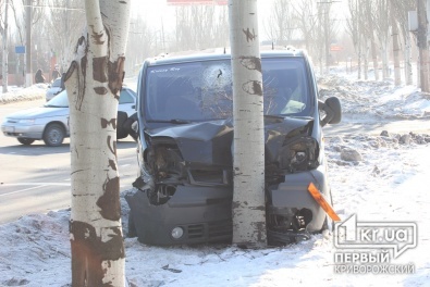 В Кривом Роге водитель на Renault Trafic въехал в дерево. Есть пострадавшие