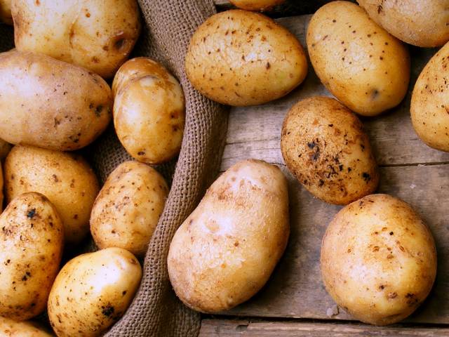Криворожский отдел образования закупил картошку по рекордным ценам