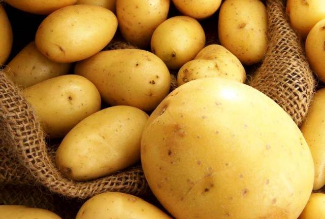 Саксаганский исполком опровергает информацию о покупке картошки для школ по 6,8 грн