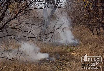 Фото к новости Главное фото новости