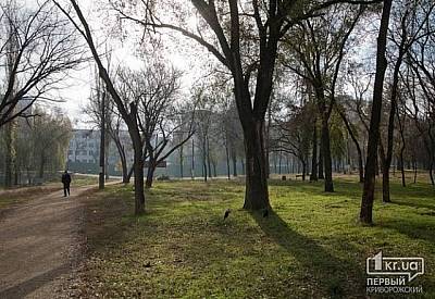Фото к новости Главное фото новости