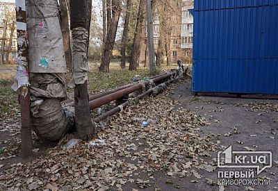 Фото к новости Главное фото новости