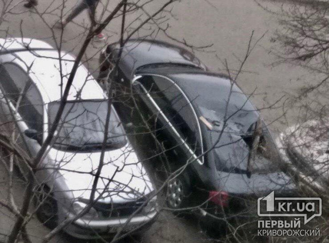 В Кривом Роге упавшая ветка разбила заднее стекло припаркованной Audi