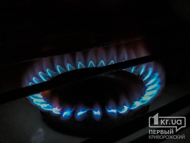 У Нафтогазі України вважають, що підвищувати ціну на газ не потрібно