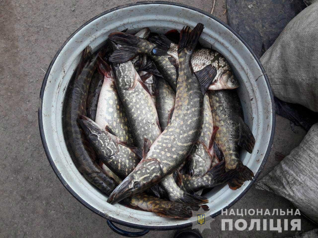В Кривом Роге задержали двоих рыбных браконьеров