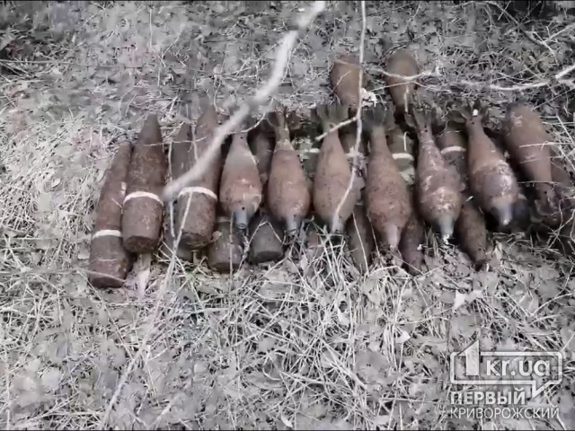 В Криворожском районе женщина обнаружила 21 боеприпас