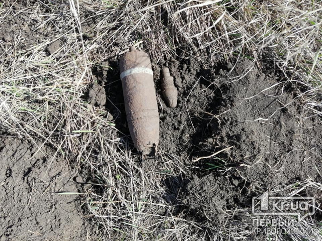 Недалеко от Кривого Рога мужчина на огороде обнаружил взрывоопасные предметы