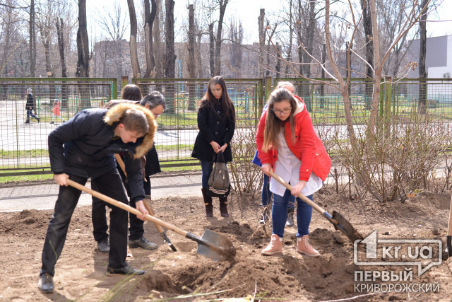 Посади дерево своими руками: криворожский педагогический университет присоединился к экологической акции