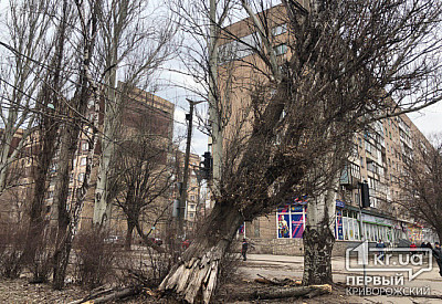 Фото к новости Главное фото новости