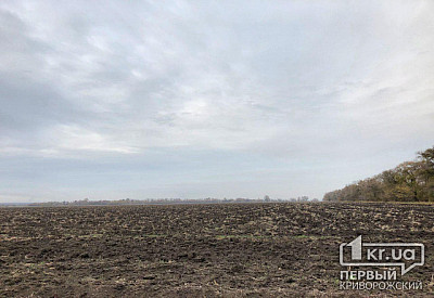 Фото к новости Главное фото новости