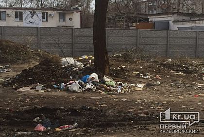 Сотрудники пиццерии в Кривом Роге жалуются на стихийную свалку рядом с их заведением