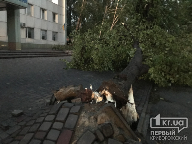 В Кривом Роге из-за урагана с корнями повырывало десятки деревьев