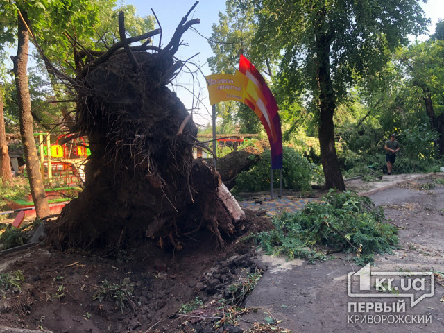 На детскую площадку в Кривом Роге рухнуло дерево