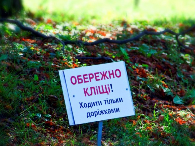 От укусов клещей за полгода пострадали более тысячи жителей Днепропетровской области