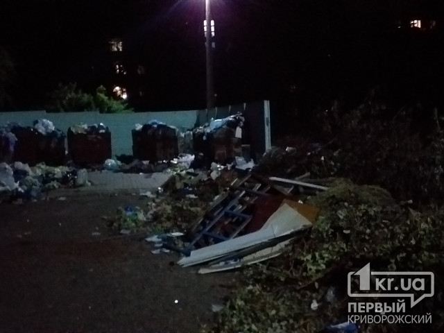 Из-за нерегулярного вывоза мусора Экоспецтрансом, двор одного из криворожских домов превратился в свалку