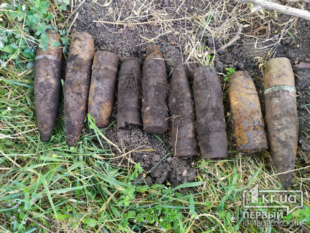 В двух селах Криворожского района обнаружены боеприпасы