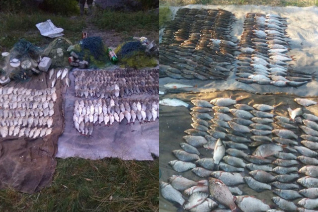 В Криворожском районе задержали браконьера, выловившего 620 карасей