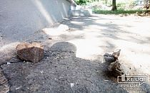 Фото новости